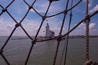 Paard van Marken