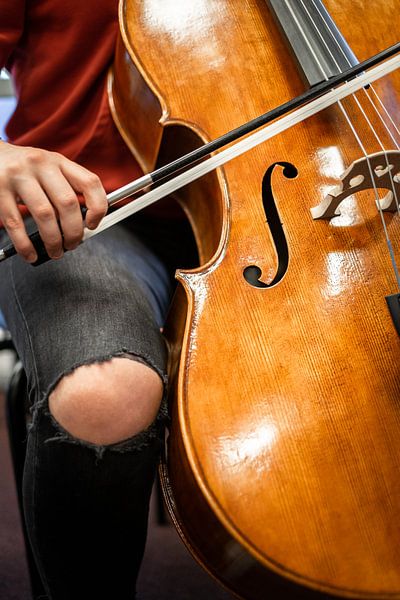 Mädchen spielt Cello von Wouter Bos