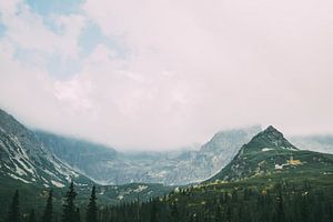 Montagnes vertes dans le brouillard