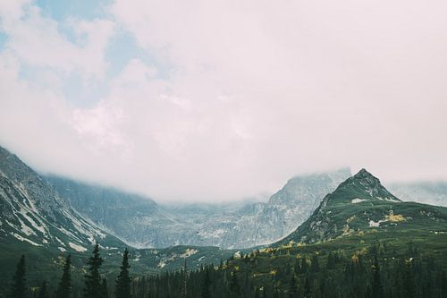 Montagnes vertes dans le brouillard