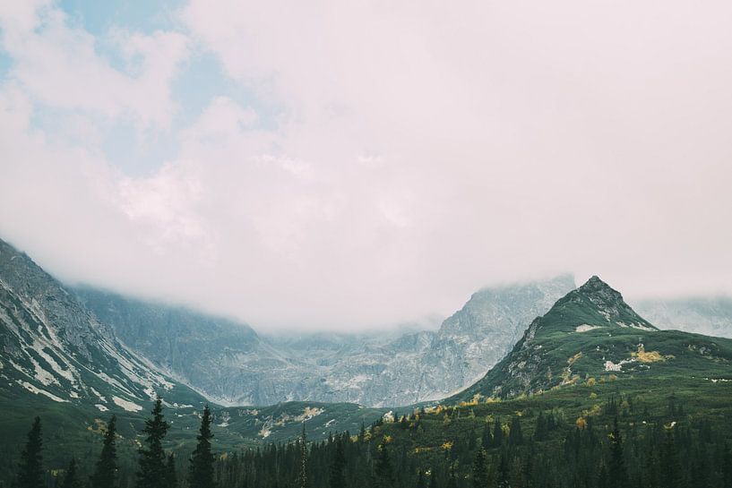 Green Mountains in Fog by Patrycja Polechonska