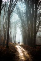 Bospad speulderbos
