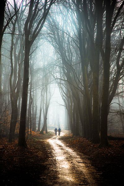 Radfahrer im Wald von Jeroen Mondria