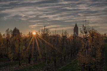 Lienden kerk von Moetwil en van Dijk - Fotografie