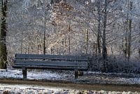 bankje in de winter