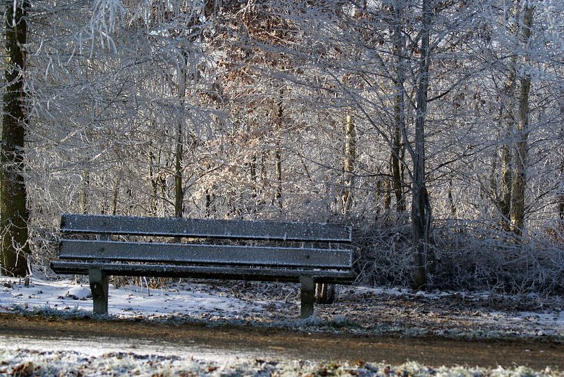 bankje in de winter by Beer Foto