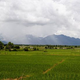 Thailand von S. van den Ham