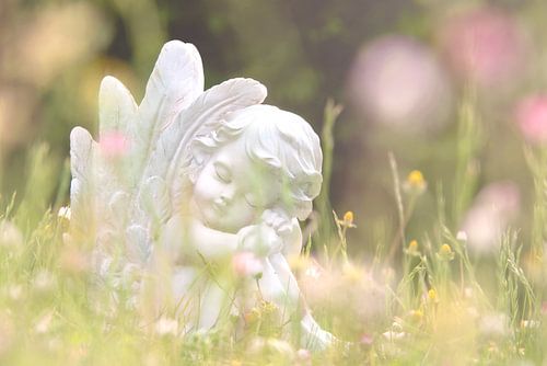 Quand les anges rêvent sur Tanja Riedel