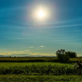 Pyreneeën, Canet-en-Roussilon van Stan Vanneste