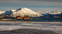 Winter op Sommarøya, Noorwegen van Adelheid Smitt thumbnail