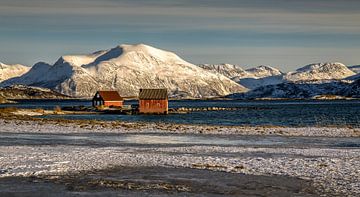 Winter op Sommarøya, Noorwegen van Adelheid Smitt