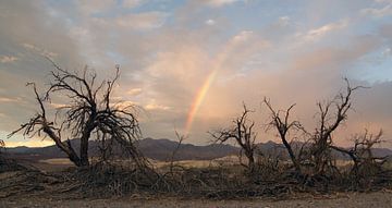 Death Valley Rainbow