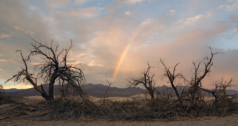 Death Valley Rainbow van Michiel Heuveling