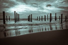 Hats Palendorp wild sea by Evelien van der Horst