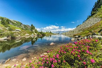 Spiegelsee sur Martin Smit