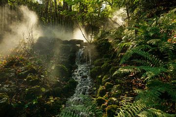 Steamy Jungle. Frankrijk. Botanical Brilliance van Alie Ekkelenkamp