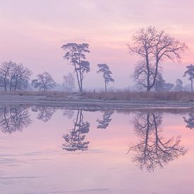 Pastellspiegelung Loonse en Drunense Duinen von Zwoele Plaatjes