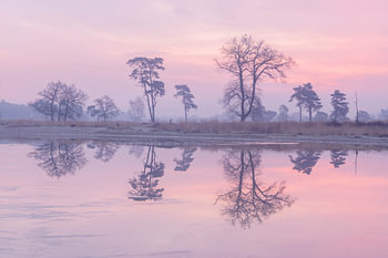 Pastel reflection Loonse en Drunense Duinen