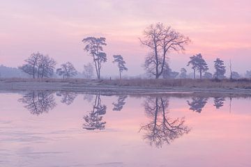 Pastelkleurige Reflectie Loonse en Drunense Duinen van Zwoele Plaatjes