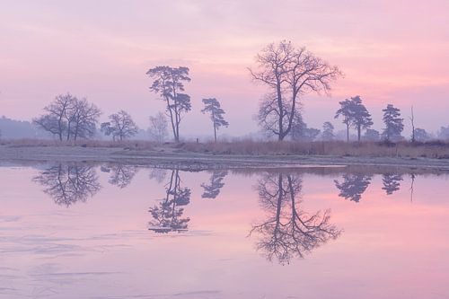 Pastelkleurige Reflectie Loonse en Drunense Duinen van Zwoele Plaatjes