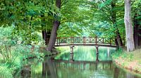 Brücke