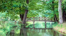 Brücke von Johann Pavelka