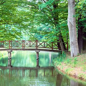 Brug van Johann Pavelka