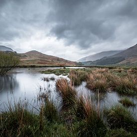 The Scottish wilderness by Marcel Keurhorst