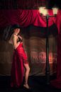 Moulin Rouge 1 van Tom Van den Bossche thumbnail