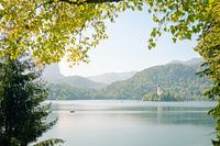 Kerk Lake Bled, Slovenië