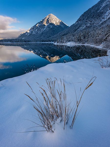 Snowed in by Denis Feiner