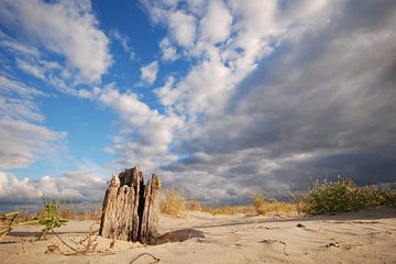 Paaltje op strand Schiermonnikoog van Margreet Frowijn