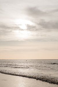 Beach in the Netherlands
