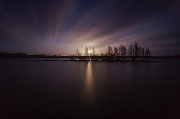 Rotterdam, la planète solitaire