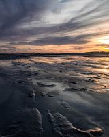 Het droog geslagen wad van het groene strand