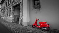 Une Vespa rouge dans un monde gris