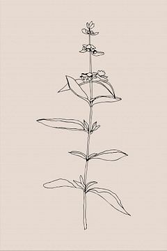 Japandi. Boho botanische plant op beige nr. 3 van Dina Dankers