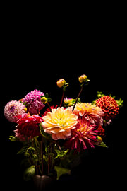 Farbenfrohe Dahlien 2 von MdeJong Fotografie