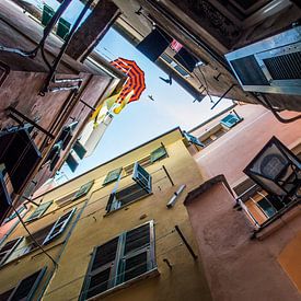 Enge Straßen in Cinque Terre von Thom Sabel