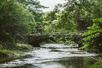Grüne Brücke in Kuba