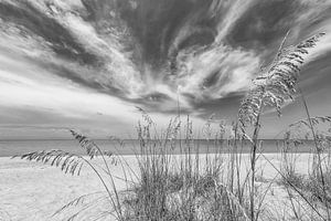 Alleine am Strand | Monochrom von Melanie Viola