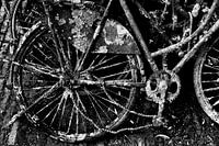 Rusty bike