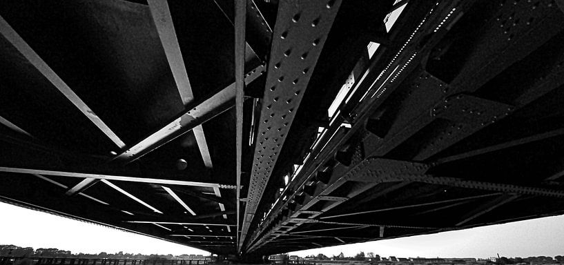 under the bridge par Wim de Vos