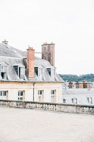 L'architecture française à Versailles par Patrycja Polechonska
