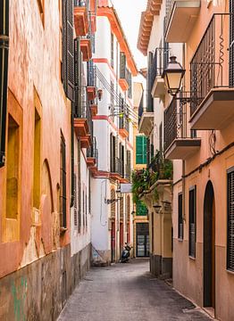 Narrow street at the old town of Palma de Majorca, Spain Balearic Islands by Alex Winter