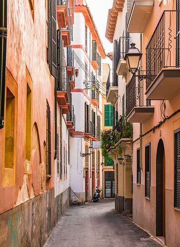 Smalle straat in de oude stad van Palma de Majorca, Spanje Balearen
