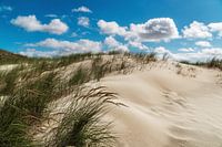 Dünen an der Nordsee