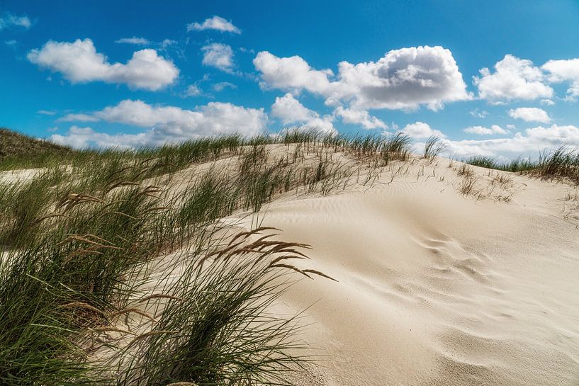Dunes de la mer du Nord par Steffen Peters
