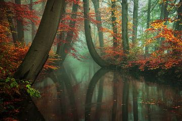 Live Your Dream by Martin Podt