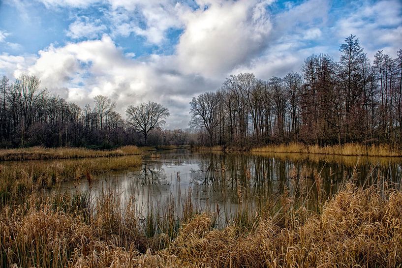 The Meuse arm, nature reserve in Limburg by Tilly Meijer